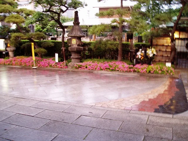 表庭とツツジ